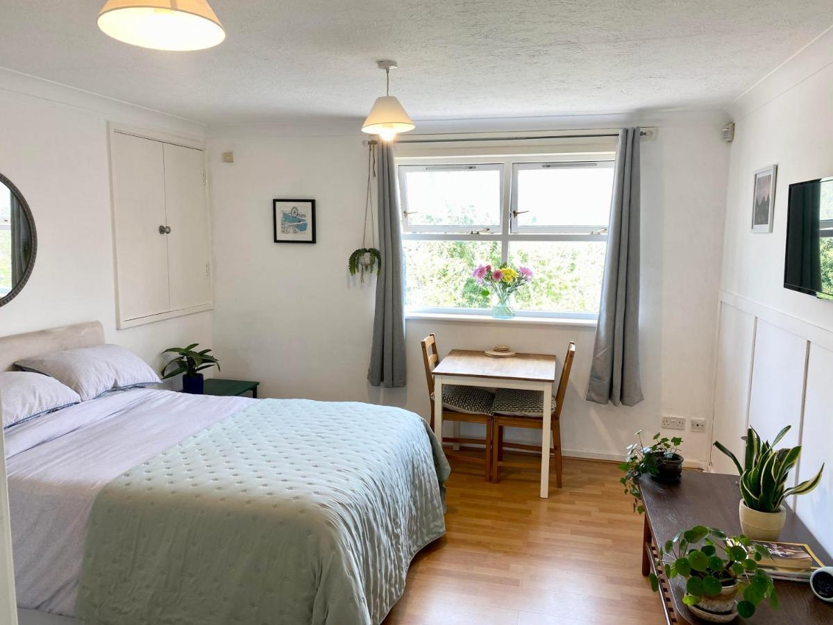 Bright And Comfortable Studio Apartment Лондон Екстер'єр фото