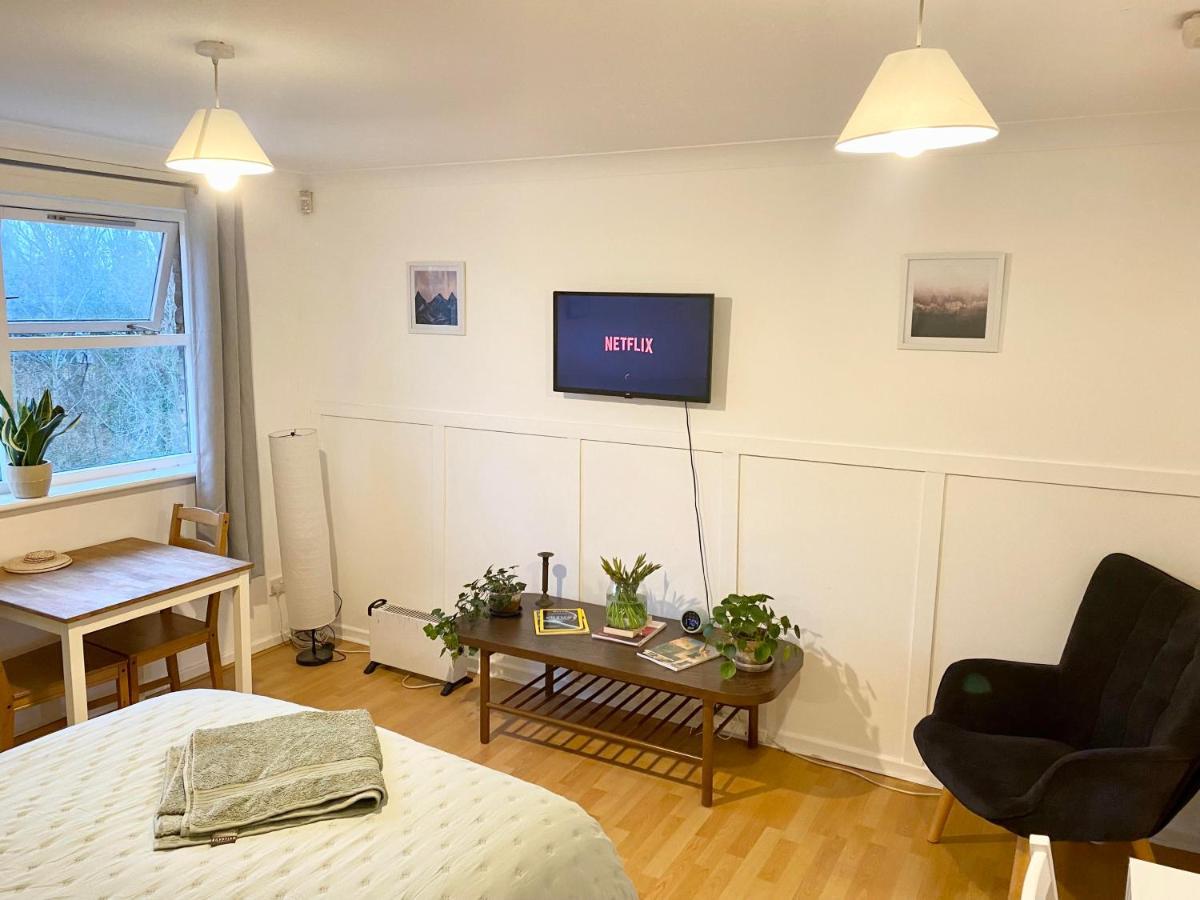 Bright And Comfortable Studio Apartment Лондон Екстер'єр фото